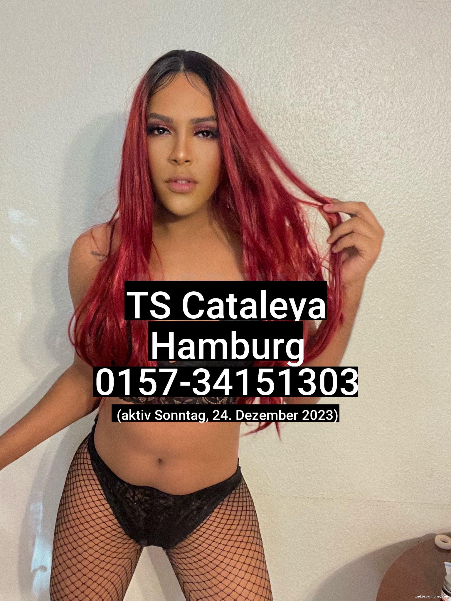 Ts cataleya aus Hamburg